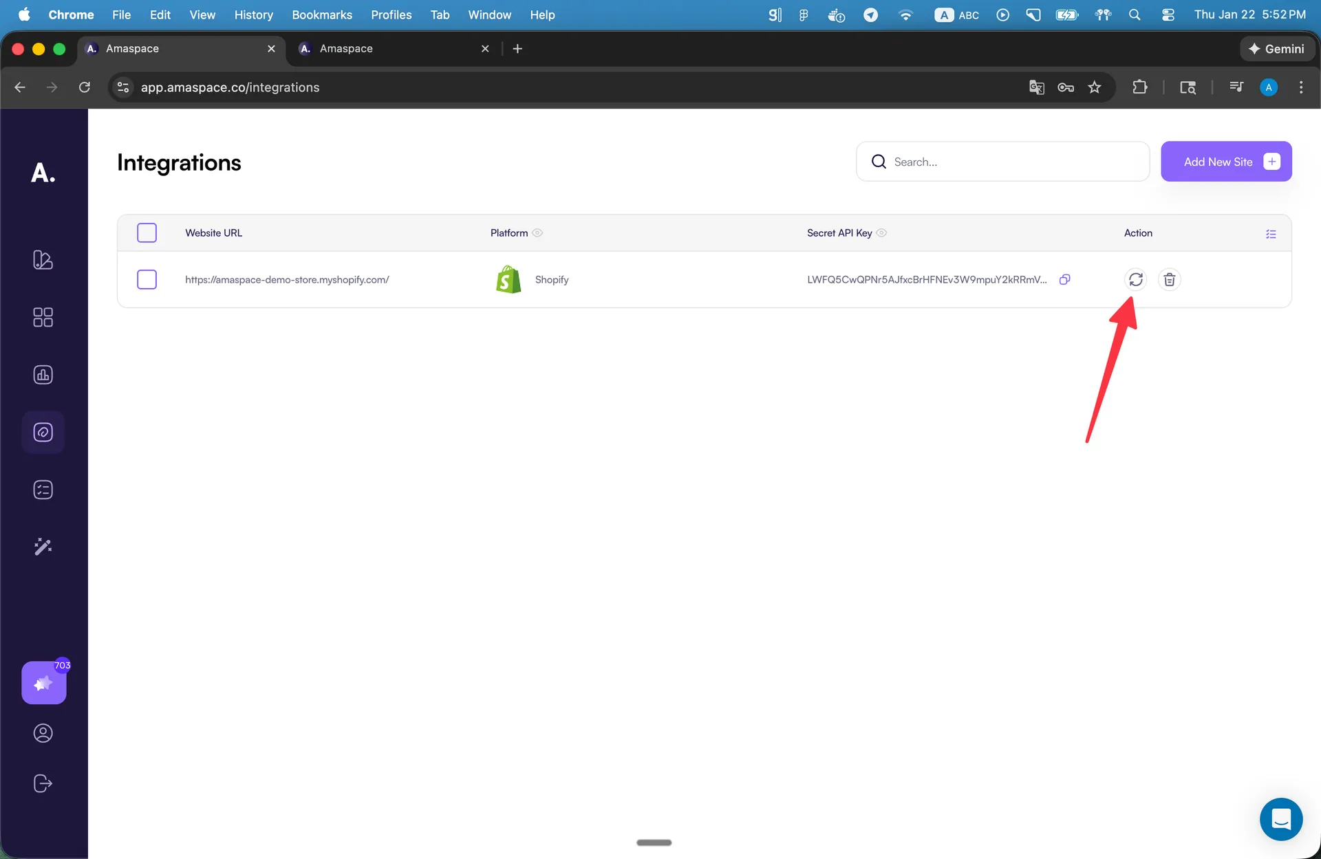 Secret API Key with Reset button